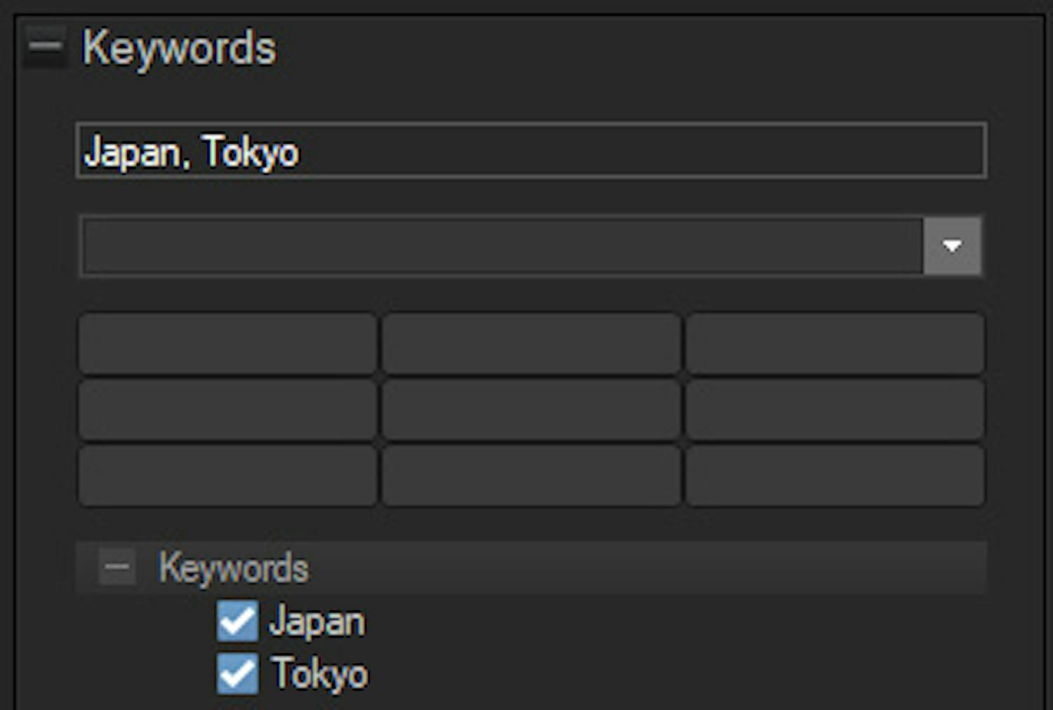 Keywords i ACDSee Photo Studio